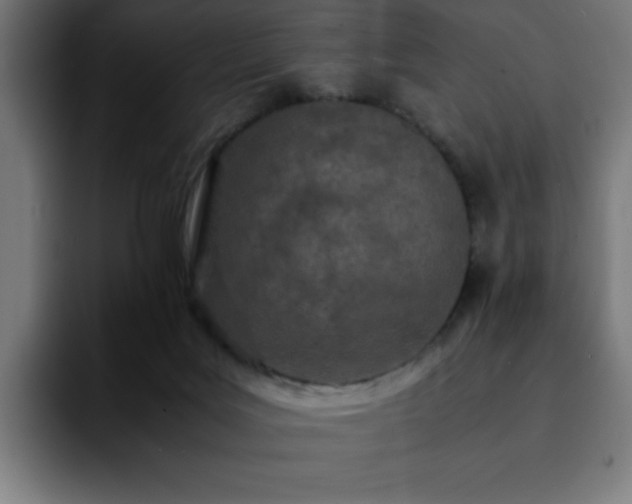 X0000092210027200709210958