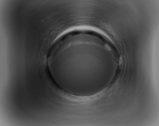 X0000092210031200709210958