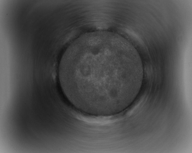 X0000092210032200709210958