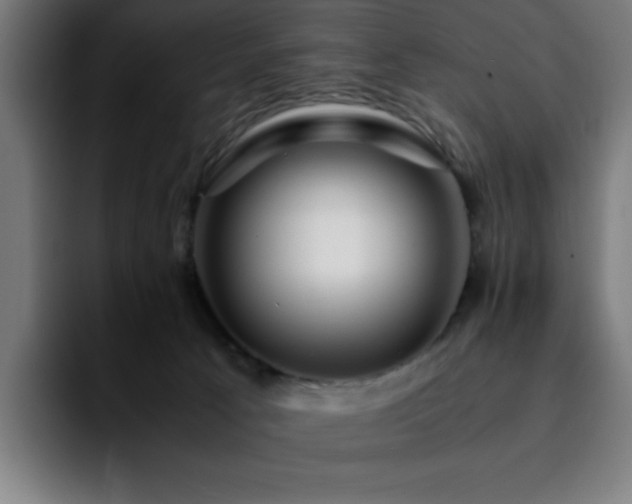 X0000092210033200709210958