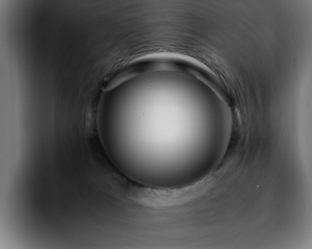 X0000092210037200709210958