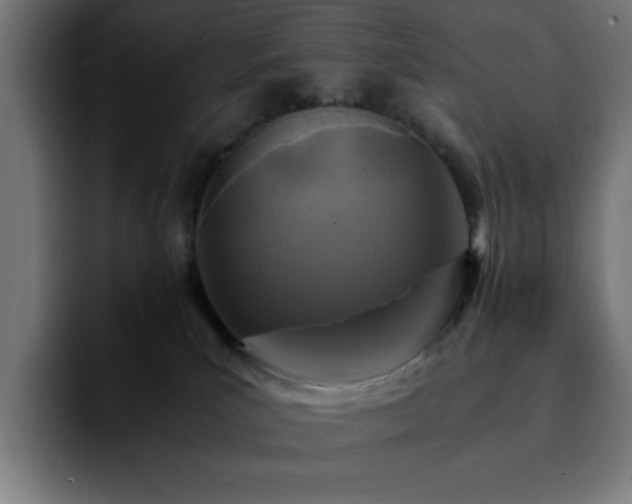 X0000092210039200709210957