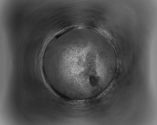 X0000092210049200709210957