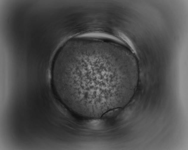 X0000092210059200709210957