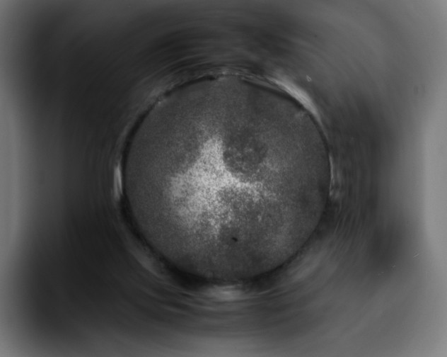 X0000092210061200709210957