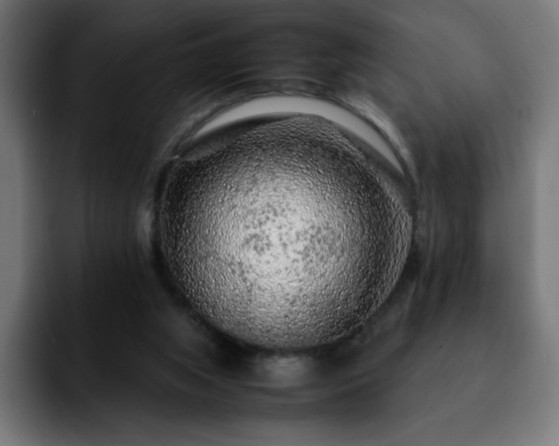 X0000092210063200709210957