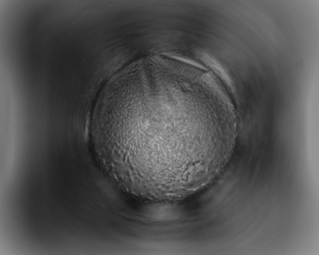 X0000092210065200709210957