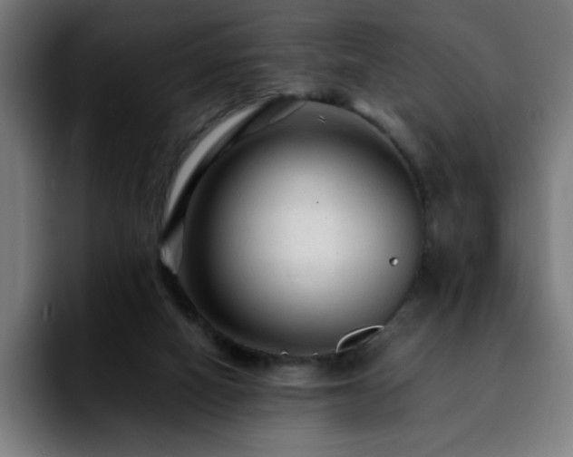 X0000092210066200709210957