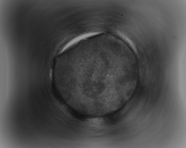 X0000092210067200709210957