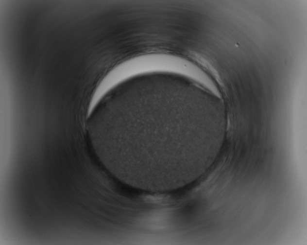 X0000092210069200709210957