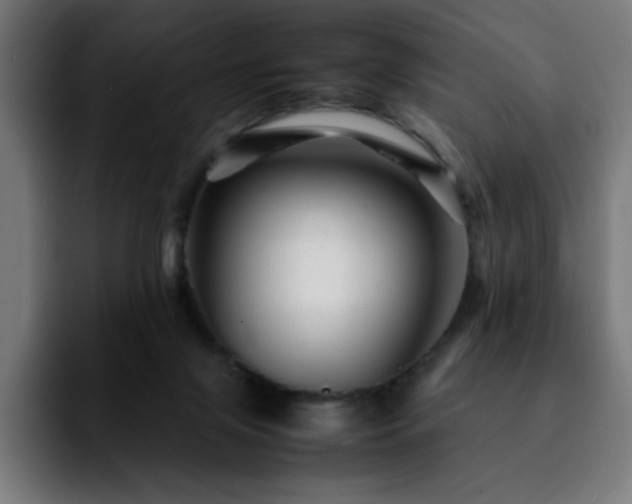 X0000092210071200709210957