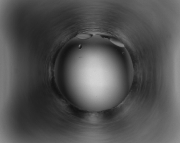 X0000092210074200709210957