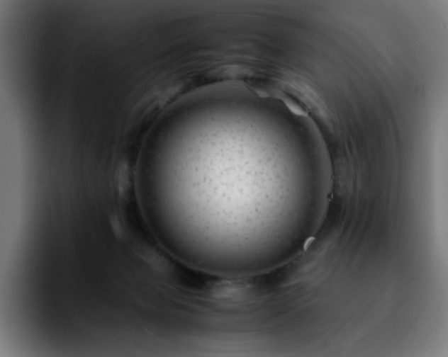 X0000092210077200709210957