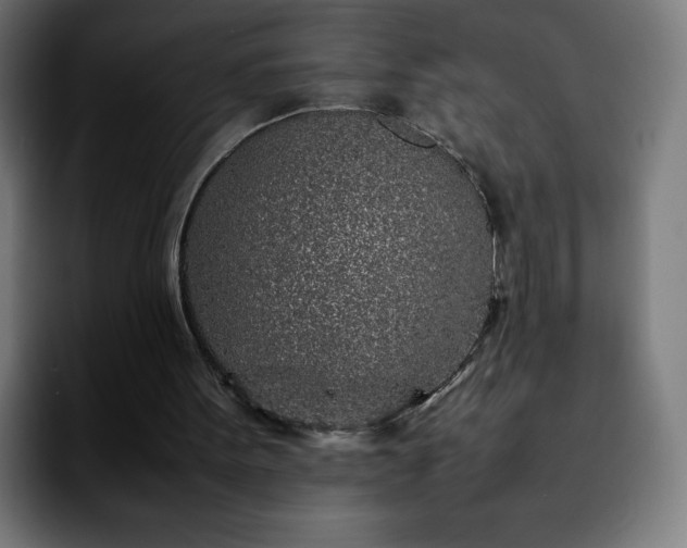 X0000092210099200709210957