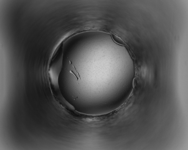 X0000092210100200709210957