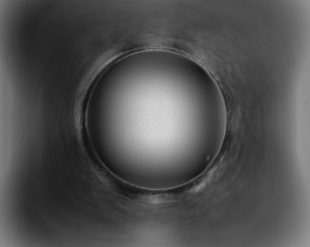 X0000092210103200709210957