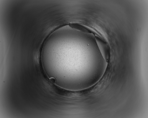 X0000092210107200709210957