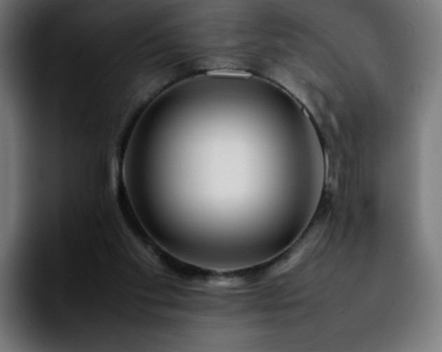 X0000092210109200709210957