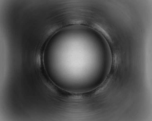 X0000092210110200709210957