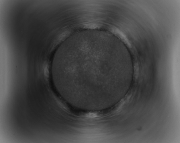 X0000092210114200709210957