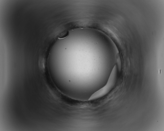 X0000092210115200709210957