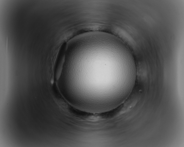 X0000092210119200709210957