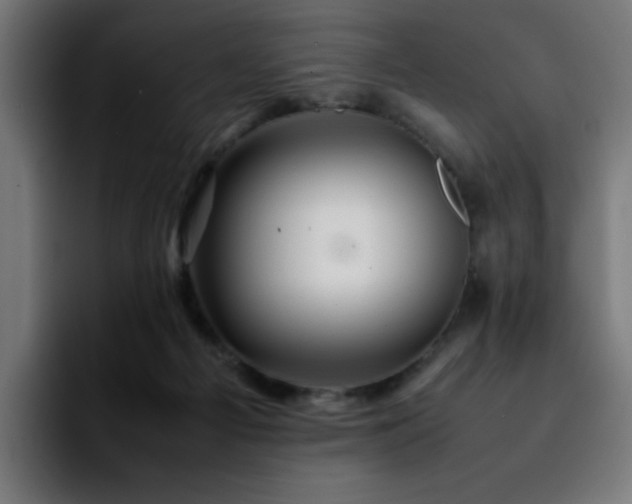 X0000092210121200709210957