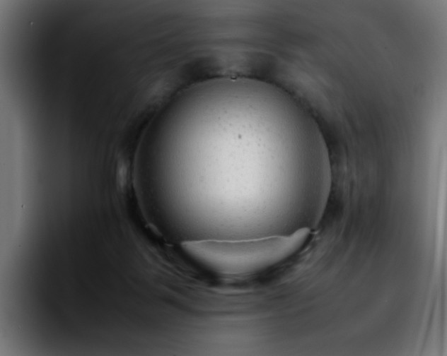 X0000092210123200709210957