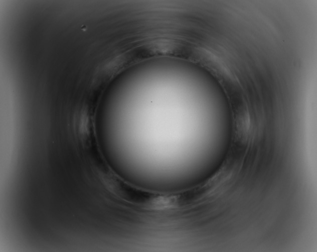 X0000092210126200709210956