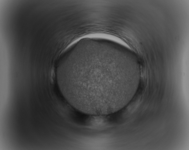 X0000092210127200709210956