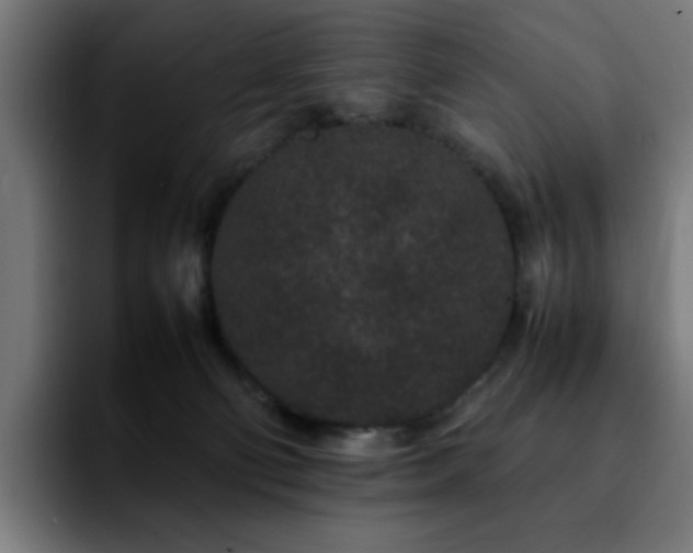 X0000092210130200709210956