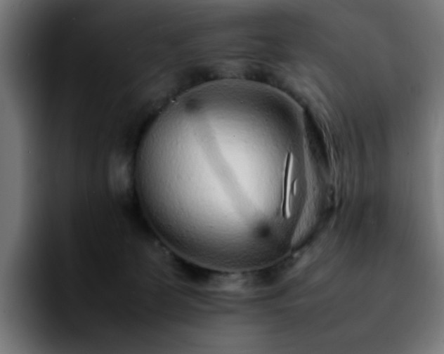 X0000092210131200709210956