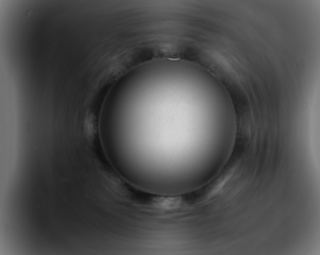 X0000092210135200709210956