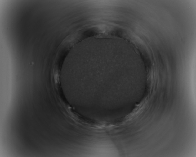 X0000092210137200709210956