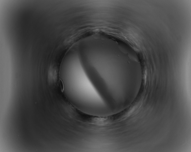 X0000092210139200709210956