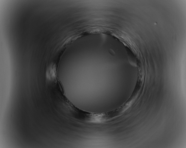 X0000092210143200709210956