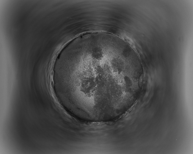 X0000092210145200709210956