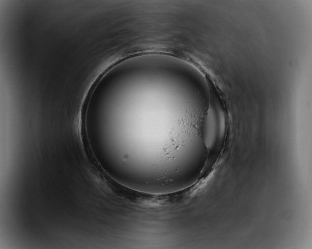 X0000092210148200709210956