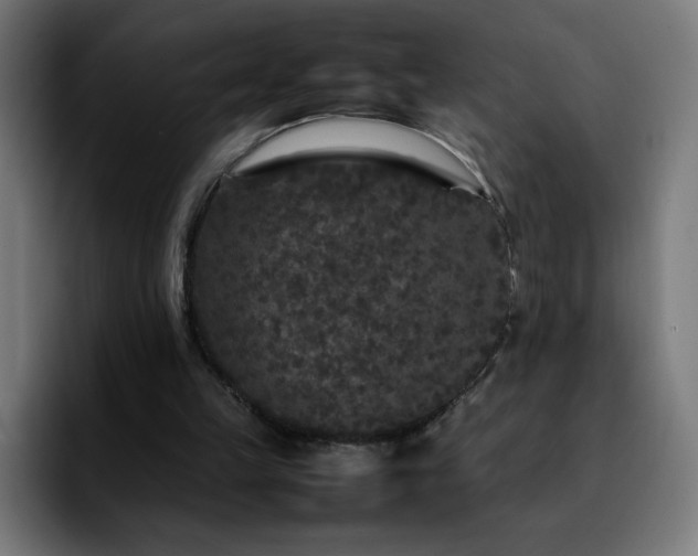 X0000092210149200709210956