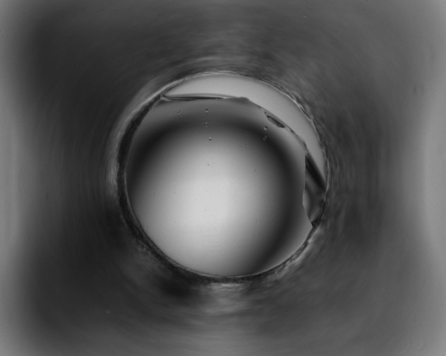 X0000092210150200709210956