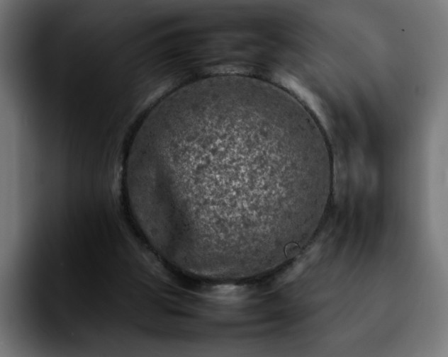 X0000092210153200709210956