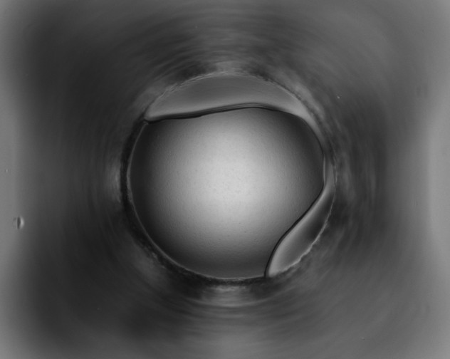 X0000092210154200709210956