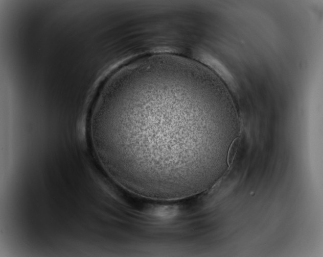 X0000092210155200709210956