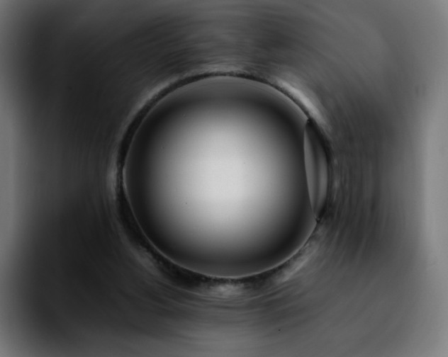 X0000092210156200709210956