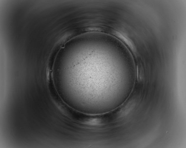 X0000092210157200709210956