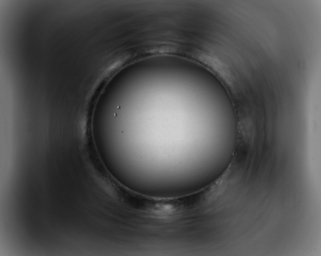 X0000092210159200709210956