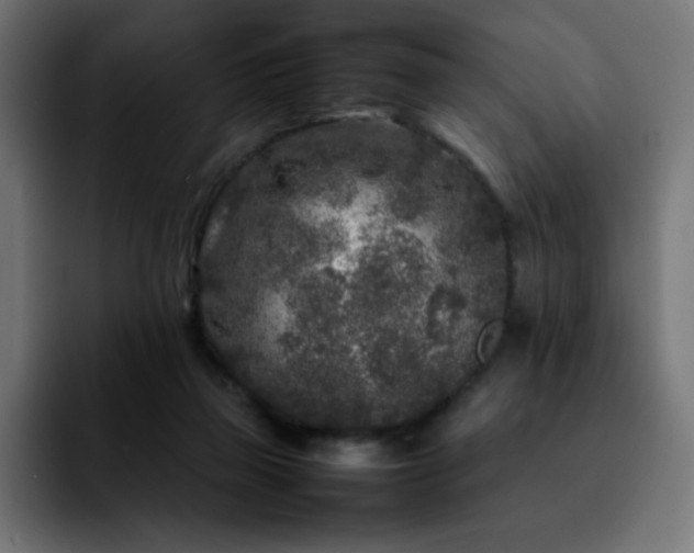 X0000092210165200709210956