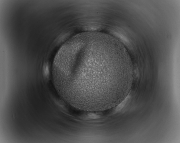 X0000092210166200709210956