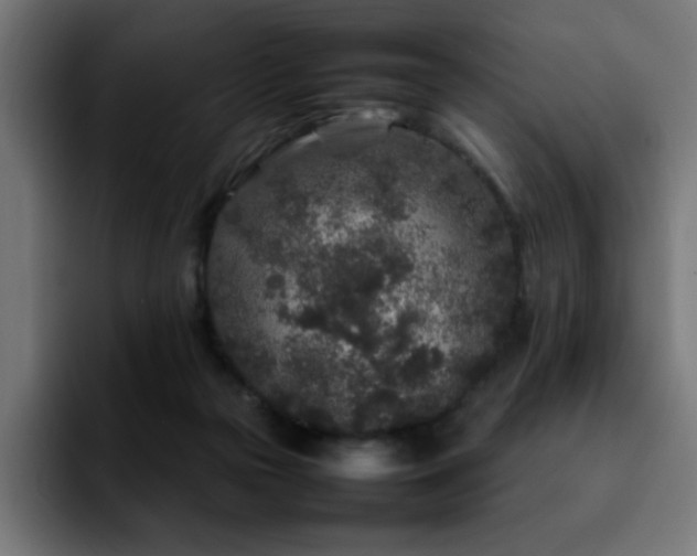 X0000092210169200709210956