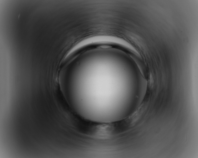 X0000092210172200709210956